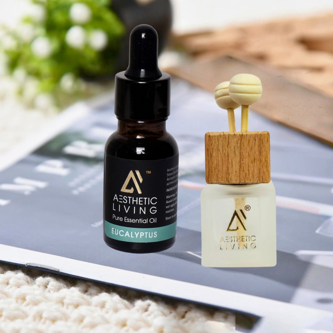 Aesthetic Living Reed Pods Car Aromatize...