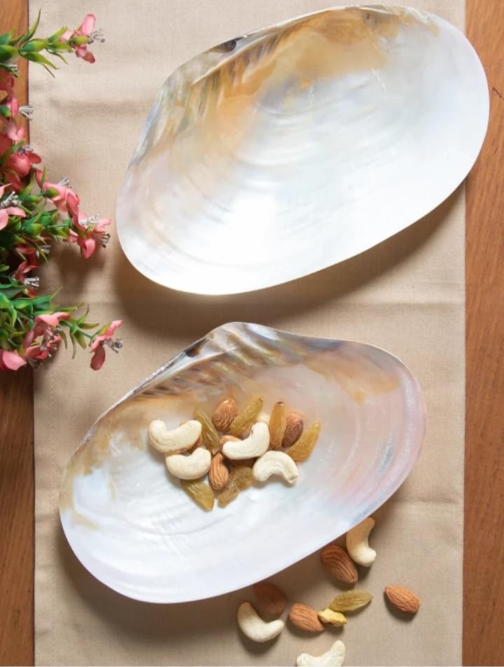 Handmade Sea Shell Serving Platter/Tray,...