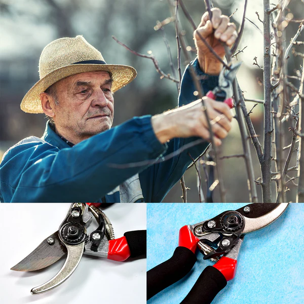 Red GARDEN SHEARS SHARP CUTTER PRUNERS S...