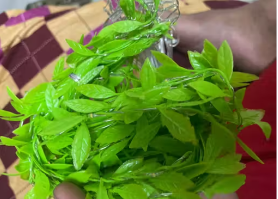 Lighting Artificial Leaf Curtain String...